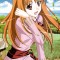 Spice and Wolf